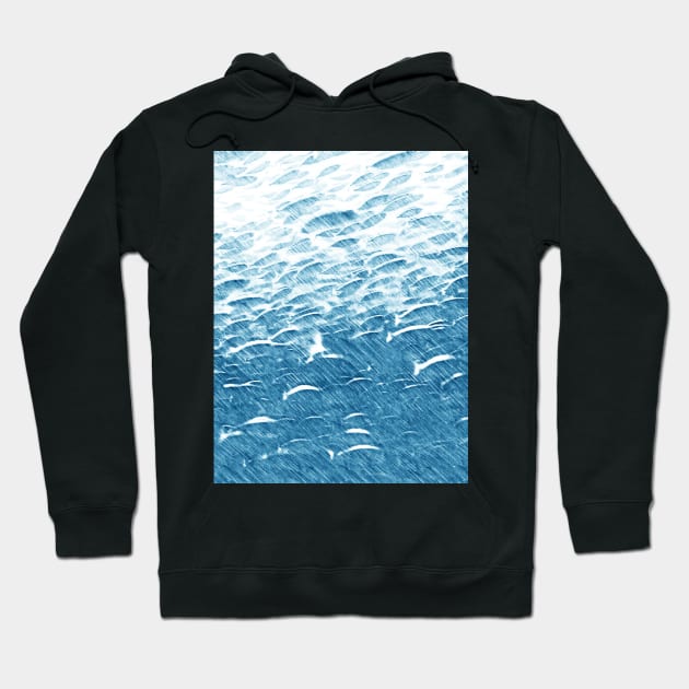 School of Fish Hoodie by Banyu_Urip